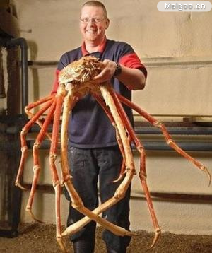 最奇葩的世界之最：盘点十大雷人的世界之最（图）