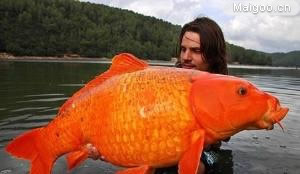 最奇葩的世界之最：盘点十大雷人的世界之最（图）