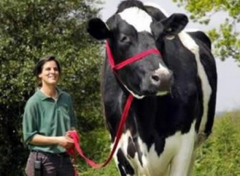 【动物之最】盘点8个动物之最：900公斤的猪破纪录