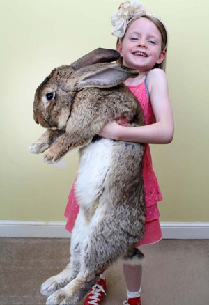 世界之最的动物：盘点动物圈的十大世界之最