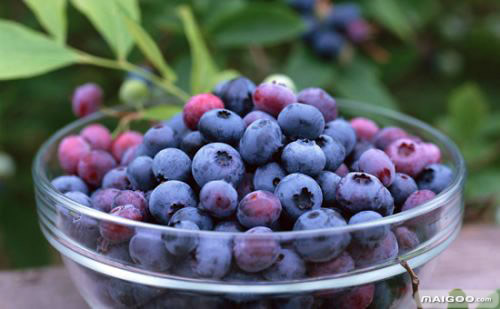 十大健康食物:最新排行榜上的十大健康食物盘点