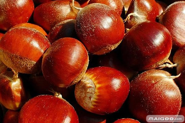 春节首选这10大坚果：十大最好吃的坚果推荐