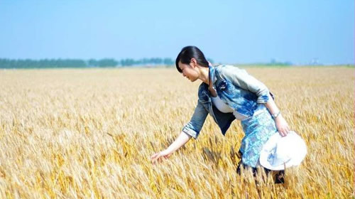 小满节气的习俗有哪些：小满节气10大习俗你知道几个