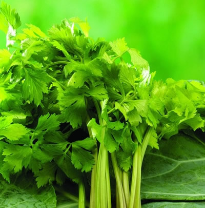 解油腻的食物：8大排毒食物又超解油腻食物推荐