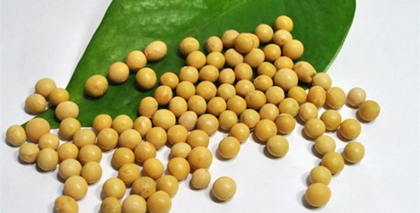 锻炼肌肉吃什么食物:推荐10个打造肌肉最佳的食物 锻炼肌肉吃什么食物:推荐10个打造肌肉最佳的食物