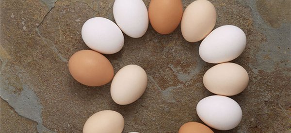 锻炼肌肉吃什么食物:推荐10个打造肌肉最佳的食物 锻炼肌肉吃什么食物:推荐10个打造肌肉最佳的食物