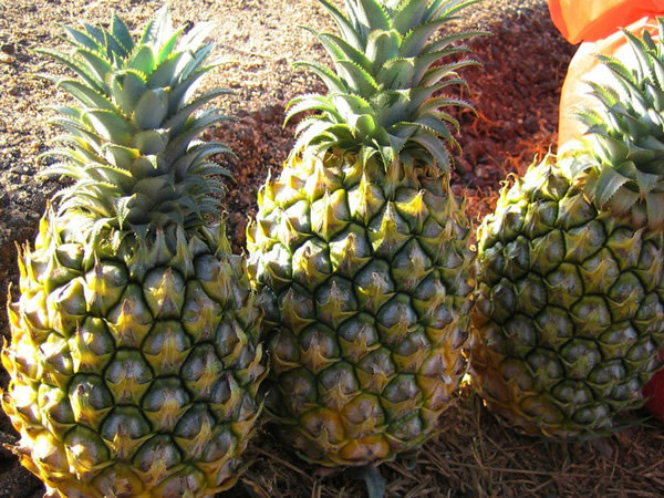 十大美肤水果成效：媲美护肤品的十大水果盘点