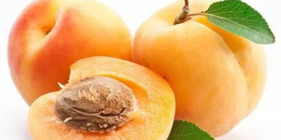 十大营养价值最高的水果排行:第一名都喜欢吃 十大营养价值最高的水果排行:第一名都喜欢吃