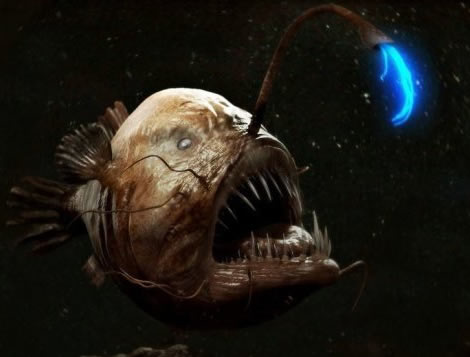 地球上10大怪异动物：真实存在的十大怪异动物