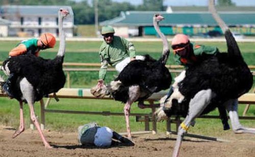 外国人就是会玩：20种世界上最奇葩的比赛（图文解析）