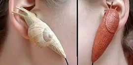 世界上最奇葩的东西：26个奇葩东西大揭秘（组图）