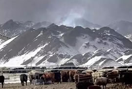 世界上最奇葩的东西：26个奇葩东西大揭秘（组图）