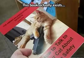 世界上最奇葩的东西：26个奇葩东西大揭秘（组图）