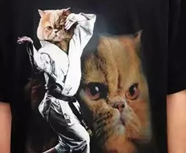 世界上最奇葩的东西：26个奇葩东西大揭秘（组图）