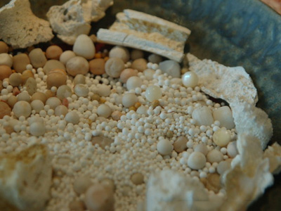 舍利子有什么神奇处:神奇舍利子99%的人都不知道