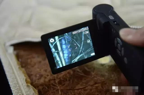 床垫睡了10年 掀开后全是这个全家人震惊了(图) 床垫睡了10年 掀开后全是这个全家人震惊了(图)