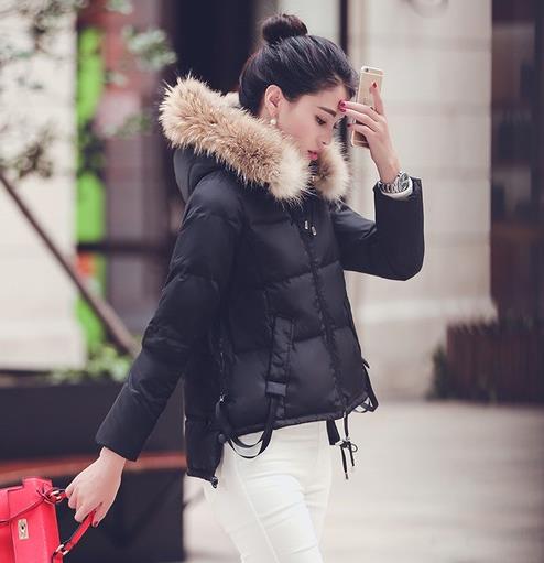 实用的羽绒服长什么样子:连帽羽绒服告诉你(图) 实用的羽绒服长什么样子:连帽羽绒服告诉你(图)