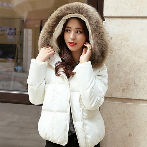 实用的羽绒服长什么样子:连帽羽绒服告诉你(图) 实用的羽绒服长什么样子:连帽羽绒服告诉你(图)