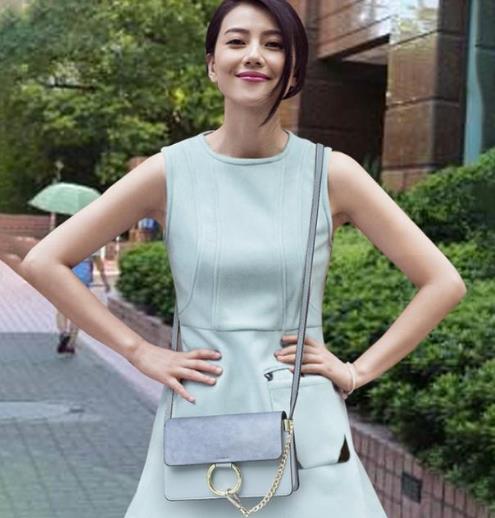 高圆圆同款单肩斜挎包搭配:简约大气斜挎包分享 高圆圆同款单肩斜挎包搭配:简约大气斜挎包分享