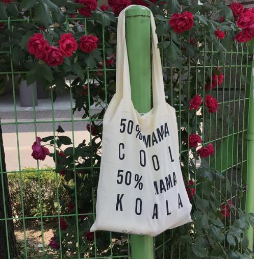 chic ins女神都在背的帆布包：丝带单肩帆布包（图）