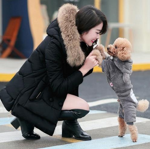 小个子搭配加厚大毛领短款棉服：轻松显高显瘦（图）