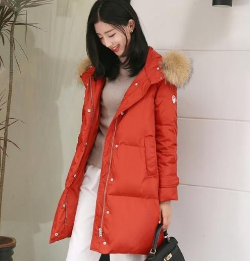 御寒保暖必备羽绒服：韩版直筒茧型羽绒服搭配（图）