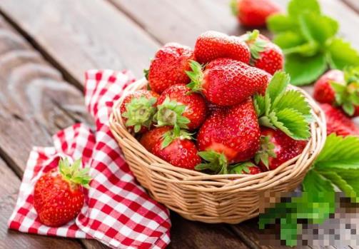 敷脸用什么面膜最补水:三种敷脸的自制面膜(图) 敷脸用什么面膜最补水:三种敷脸的自制面膜(图)