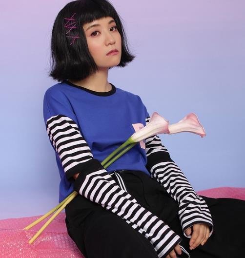 2017早秋刺绣V领雪纺衫:女装新款雪纺衫推荐 2017早秋刺绣V领雪纺衫:女装新款雪纺衫推荐