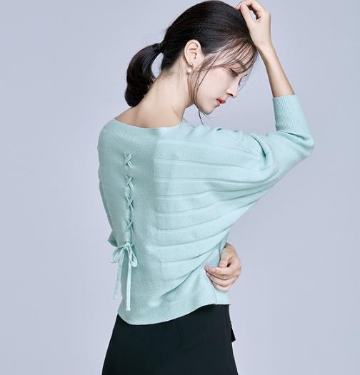 2017早秋刺绣V领雪纺衫：女装新款雪纺衫推荐