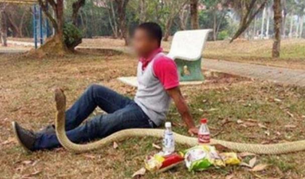 蝙蝠袖印花短外套搭配:凸显率性洒脱短外套推荐 蝙蝠袖印花短外套搭配:凸显率性洒脱短外套推荐
