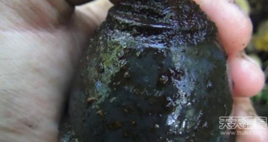 高跟鞋搭配纯色高腰灯笼裤:展现女性时尚优雅气质 高跟鞋搭配纯色高腰灯笼裤:展现女性时尚优雅气质