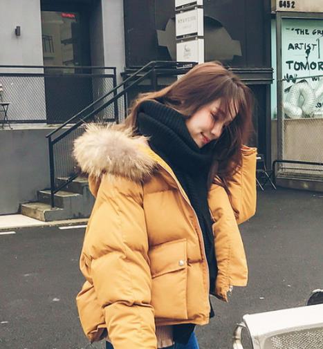 短棉服大集结 最爱显高显瘦面包服（图）