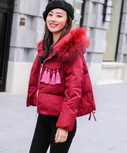 减龄显瘦的丝绒短款面包服 彰显着青春无敌 减龄显瘦的丝绒短款面包服 彰显着青春无敌