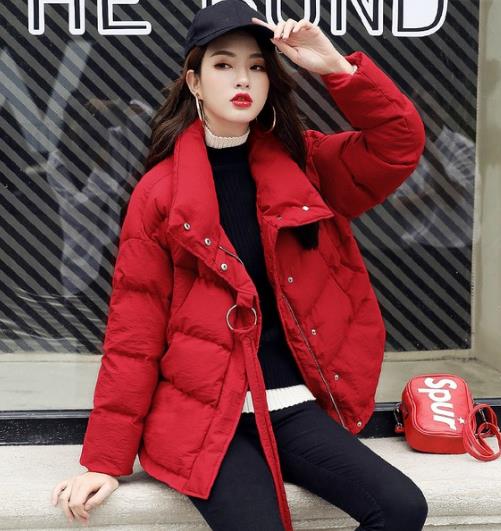 抵御严寒靓丽又不失沉稳的大毛领棉服推荐(图) 抵御严寒靓丽又不失沉稳的大毛领棉服推荐(图)