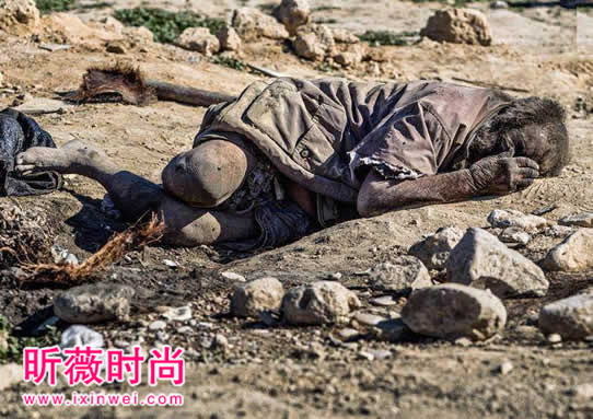 世界史上最愚蠢的10个世界纪录