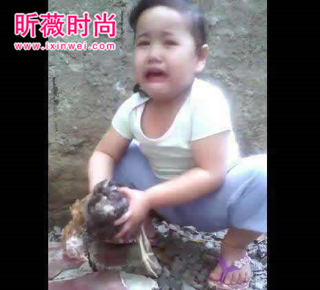 小姑娘宠物鸡死了泣不成声：晚上却收到惊喜（图文）