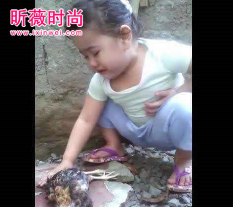 小姑娘宠物鸡死了泣不成声：晚上却收到惊喜（图文）