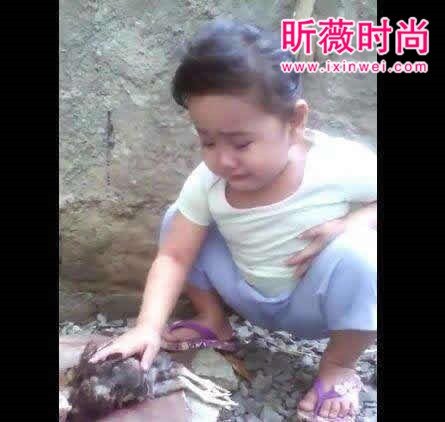 小姑娘宠物鸡死了泣不成声：晚上却收到惊喜（图文）