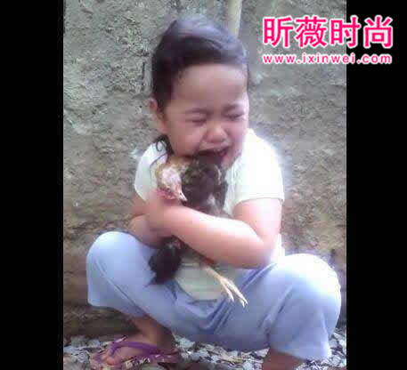 小姑娘宠物鸡死了泣不成声：晚上却收到惊喜（图文）