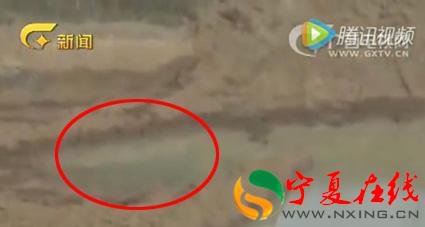 挖掘机工人心细入微,竟发现古墓线索成功盗宝 挖掘机工人心细入微,竟发现古墓线索成功盗宝