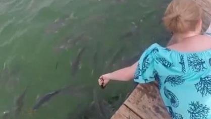 女子在河边喂鱼 下一幕让她傻眼