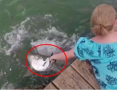 女子在河边喂鱼 下一幕让她傻眼