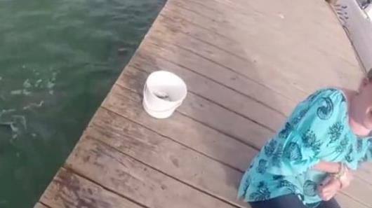 女子在河边喂鱼 下一幕让她傻眼