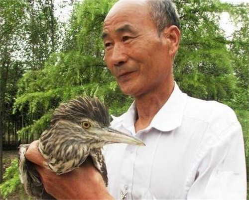 老汉救了一只鸟,它送来几百万