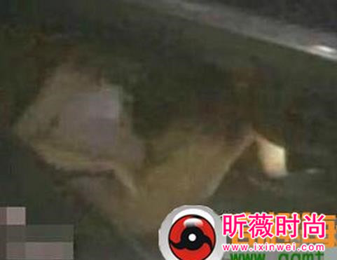 一男一女惨死车内,真相一片哗然