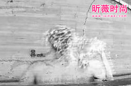 大桥现美女出浴图:虽美却违反了道德 大桥现美女出浴图:虽美却违反了道德