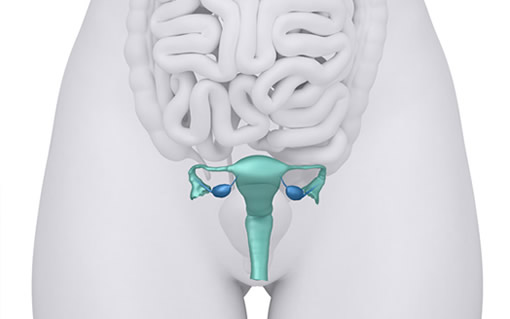 切除子宫有什么影响:切除了子宫女人会变什么样 切除子宫有什么影响:切除了子宫女人会变什么样