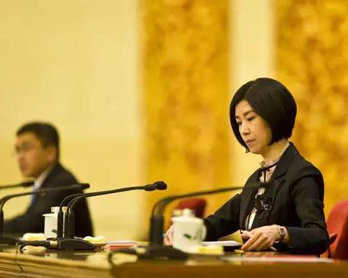 美女翻译张璐：真正的高冷女神