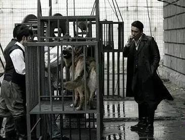 古代残酷刑法:用动物处死囚犯（图文）