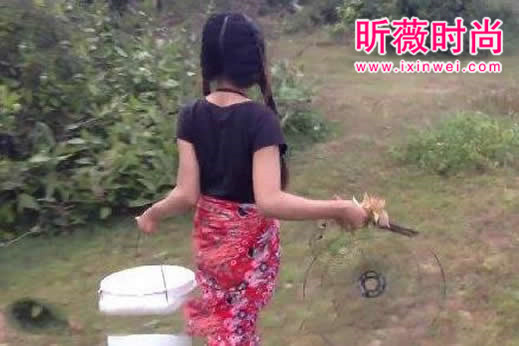 美女设陷阱抓蛇 次日收获喜人